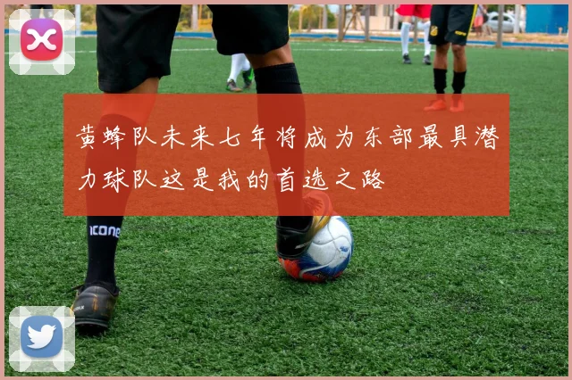 黄蜂队未来七年将成为东部最具潜力球队这是我的首选之路