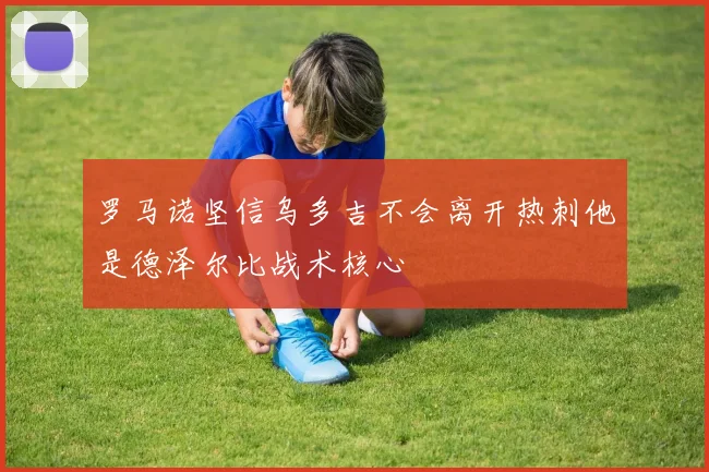 罗马诺坚信乌多吉不会离开热刺他是德泽尔比战术核心