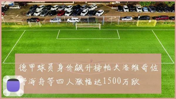 德甲球员身价飙升榜帕夫洛维奇佐野海舟等四人涨幅达1500万欧