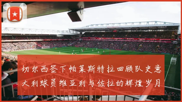 切尔西签下帕莱斯特拉回顾队史意大利球员维亚利与佐拉的辉煌岁月