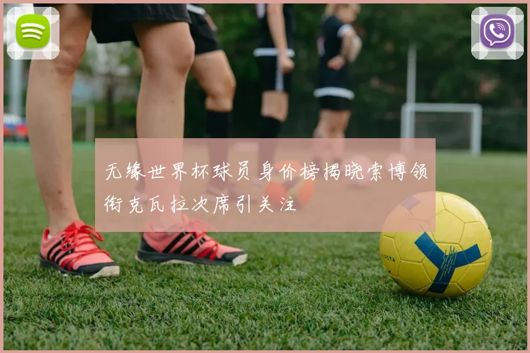 无缘世界杯球员身价榜揭晓索博领衔克瓦拉次席引关注